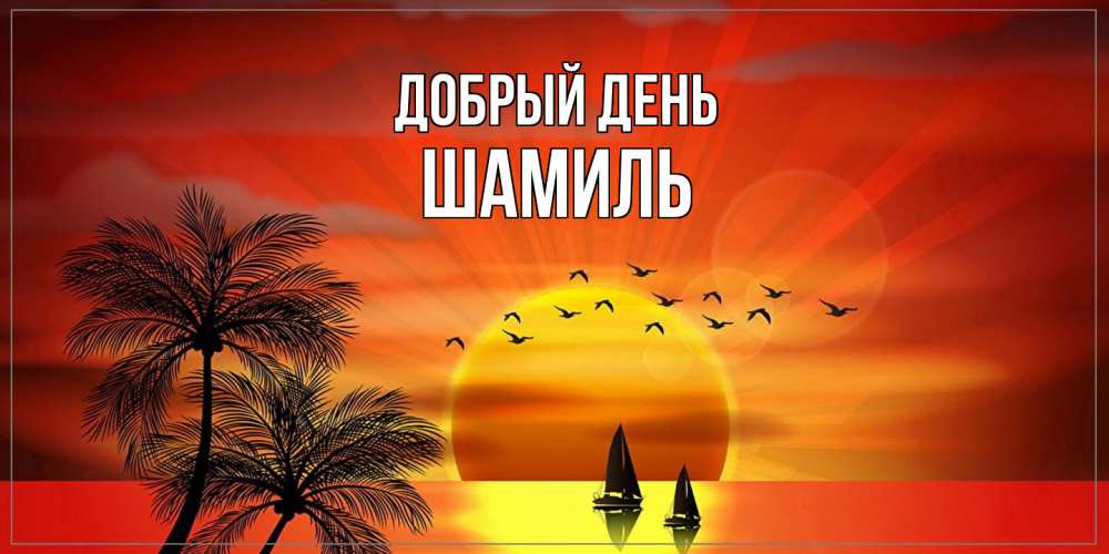 Открытка  с именем. Шамиль, Добрый день  