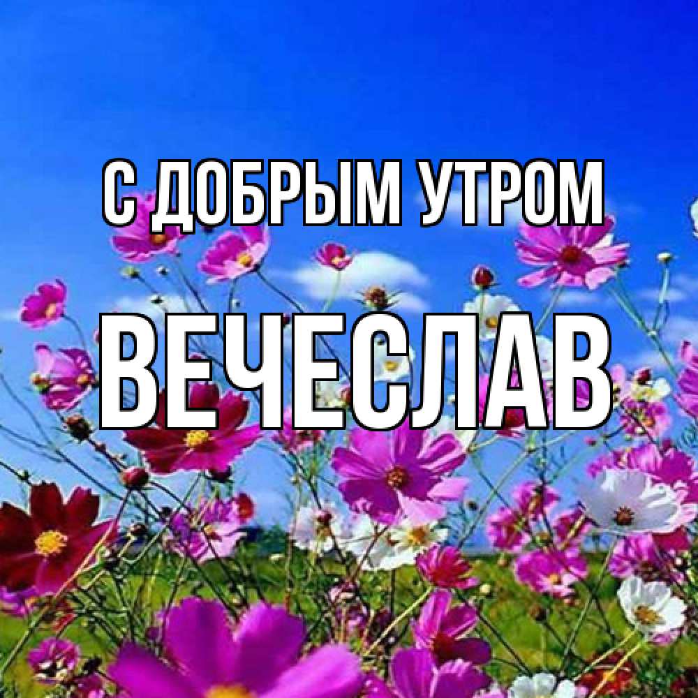 Открытка  с именем. Вечеслав, С добрым утром  