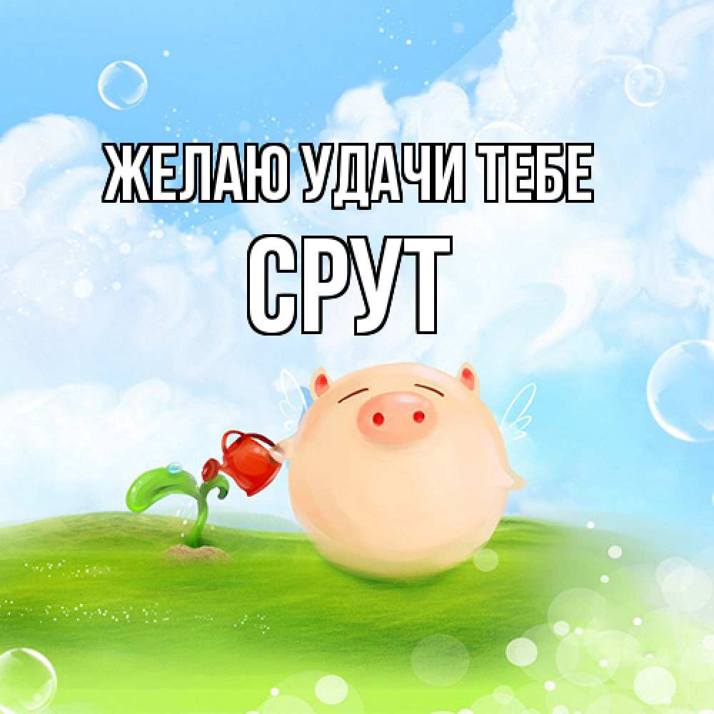 Открытка  с именем. срут, Желаю удачи тебе  