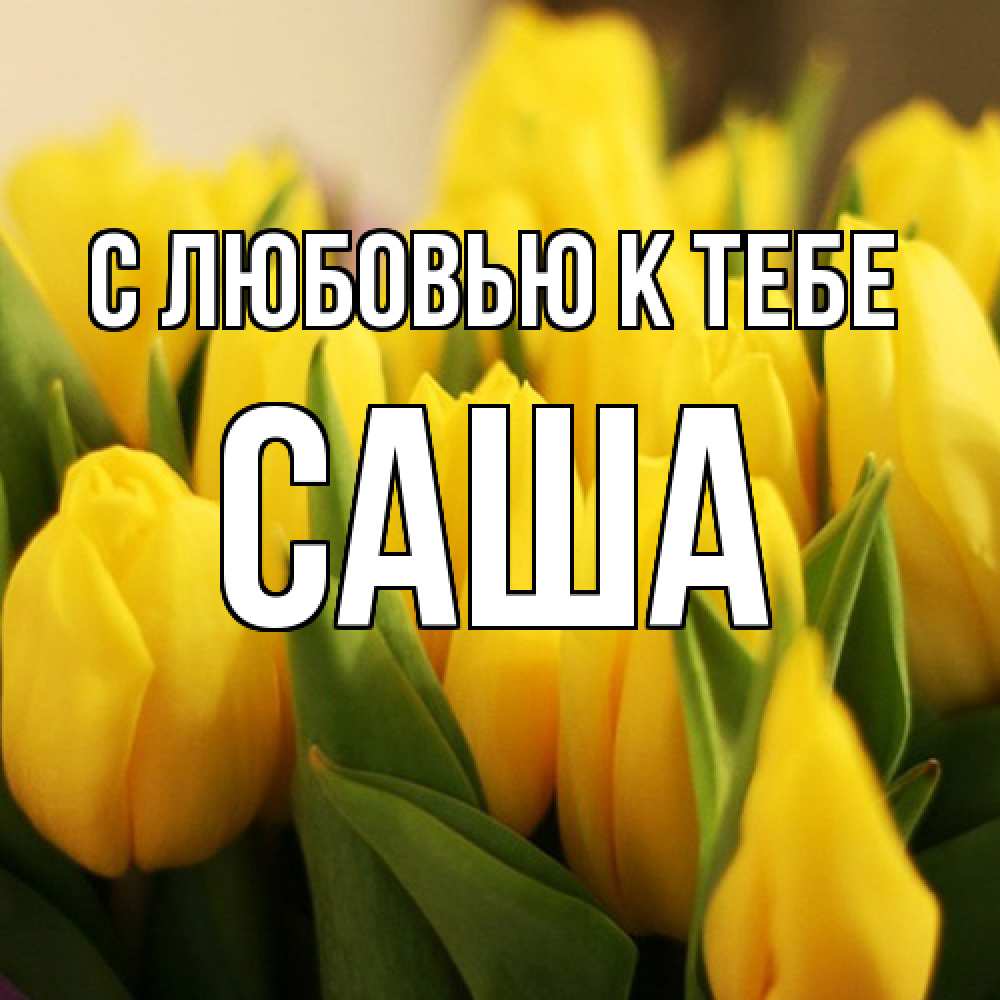 Открытка  с именем. Саша, С любовью к тебе  