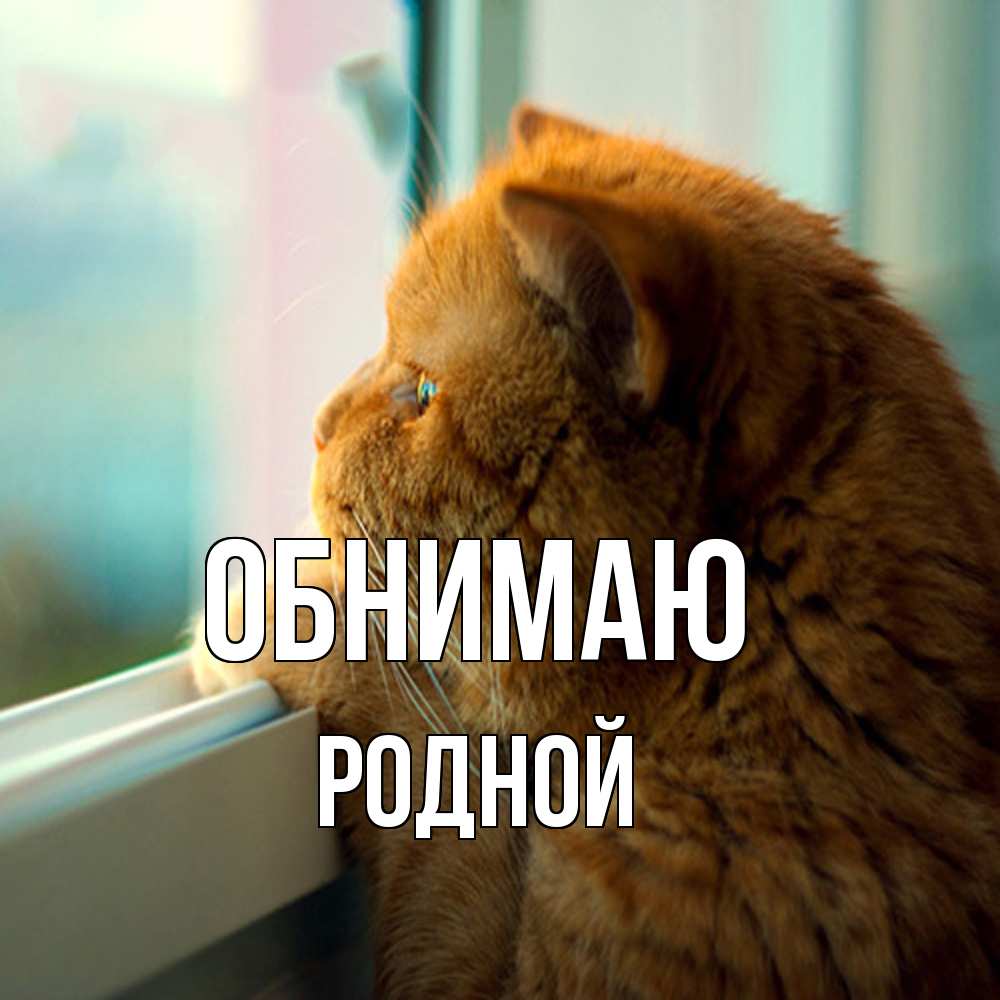 Открытка  с именем. родной, Обнимаю  
