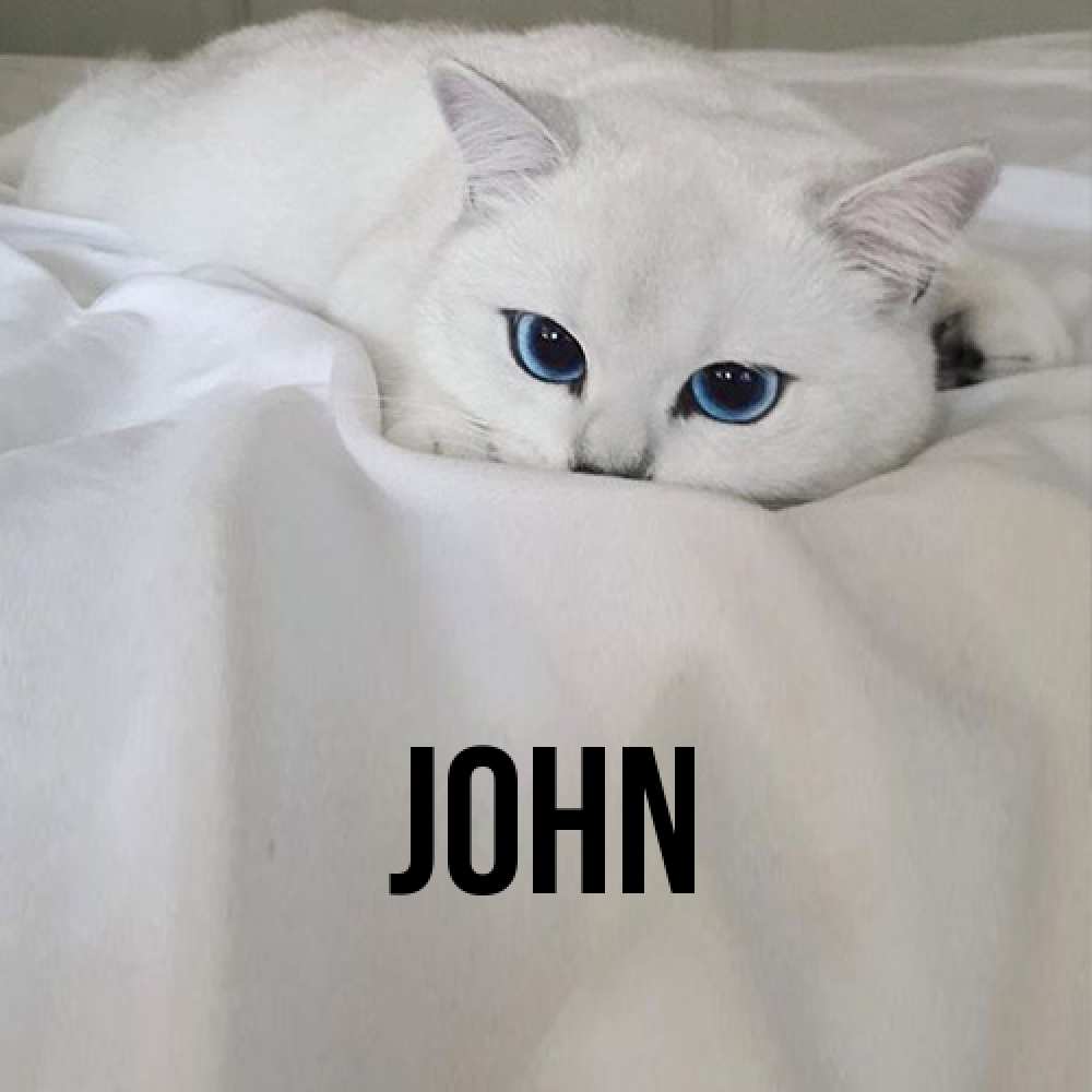 Открытка  с именем. John, Главная  