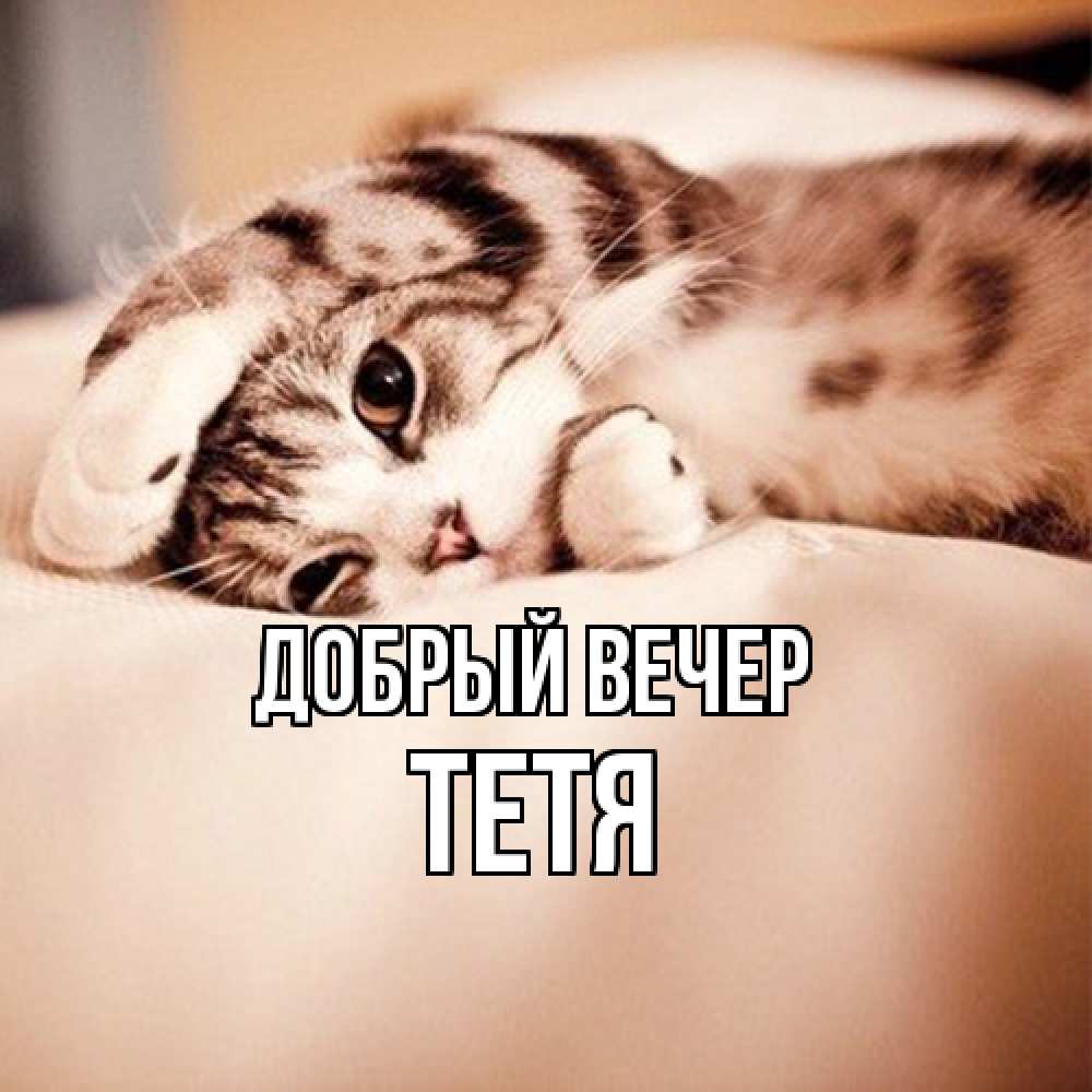 Открытка  с именем. Тетя, Добрый вечер  