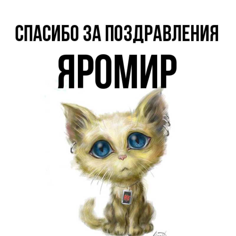 Картинка Спасибо за поздравления, Яромир