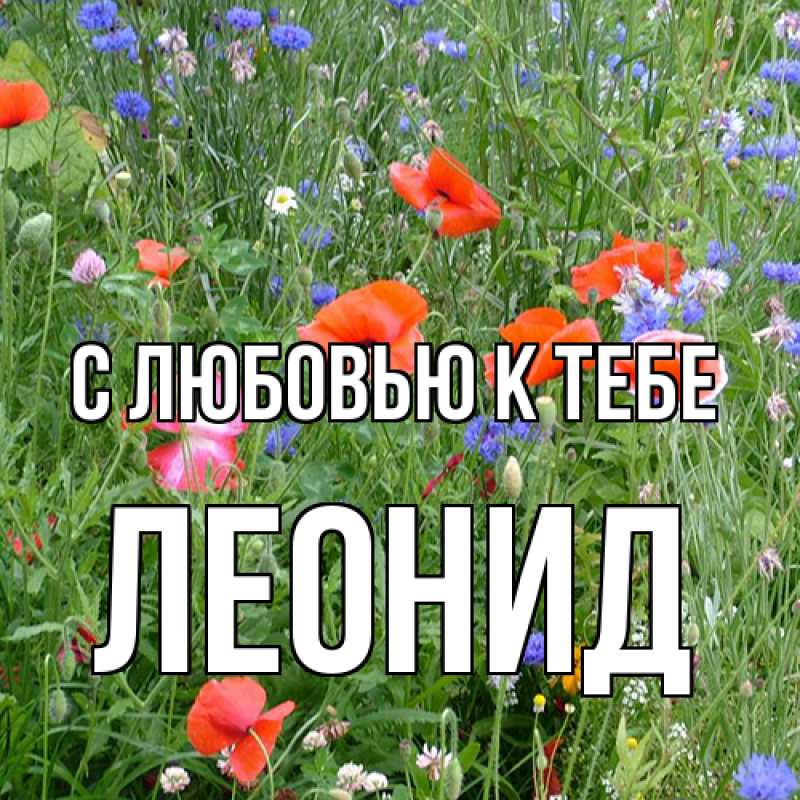 Картинка С любовью к тебе, Леонид