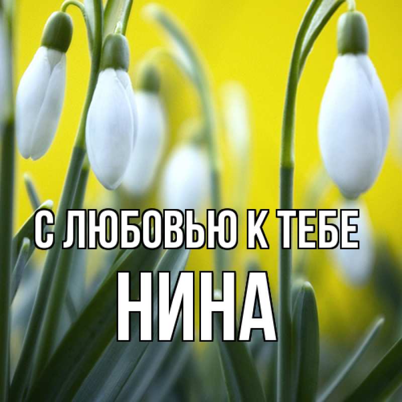 Картинка С любовью к тебе, Нина
