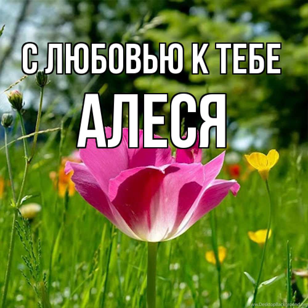 Открытка  с именем. Алеся, С любовью к тебе  