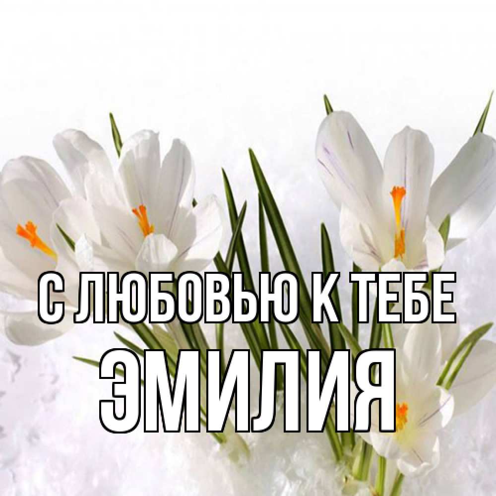 Открытка  с именем. Эмилия, С любовью к тебе  