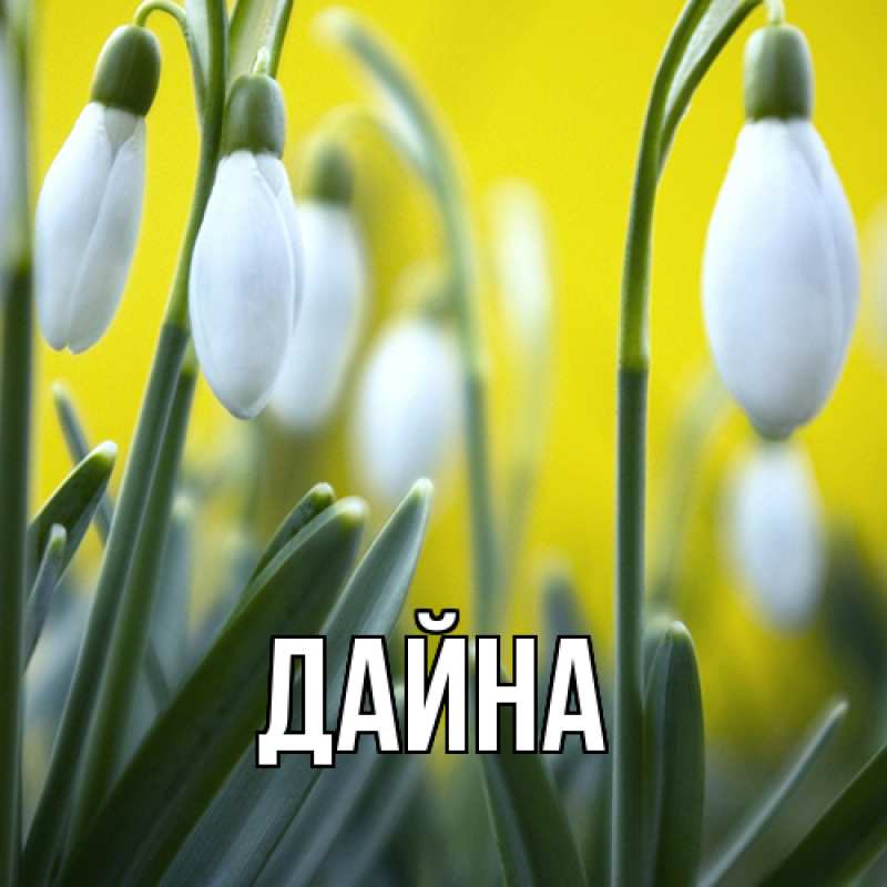 Картинка  с именем , Дайна
