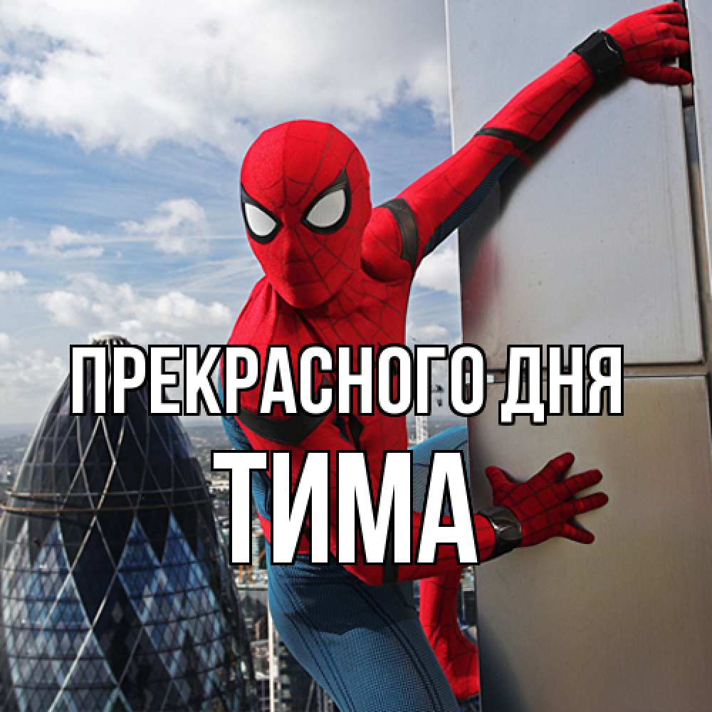 Открытка  с именем. Тима, Прекрасного дня  