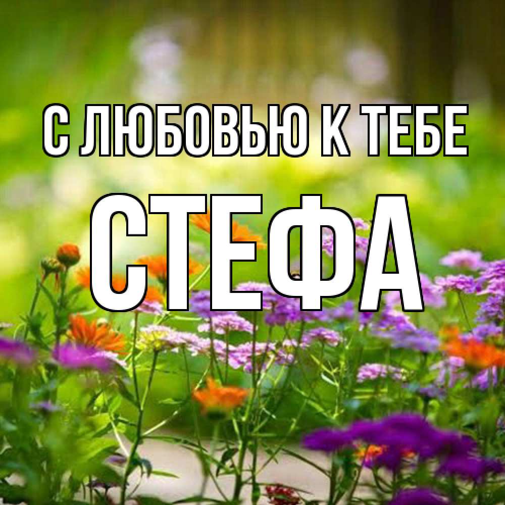 Открытка  с именем. стефа, С любовью к тебе  