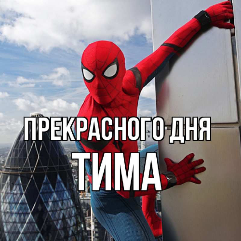 Картинка Прекрасного дня, Тима