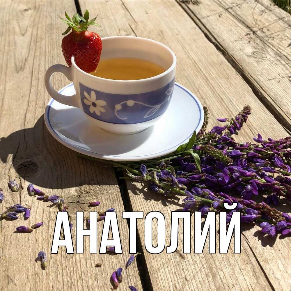 Открытка  с именем. Анатолий, Главная  