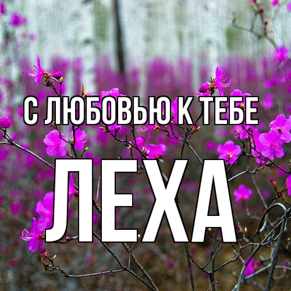 Открытка  с именем. Леха, С любовью к тебе  