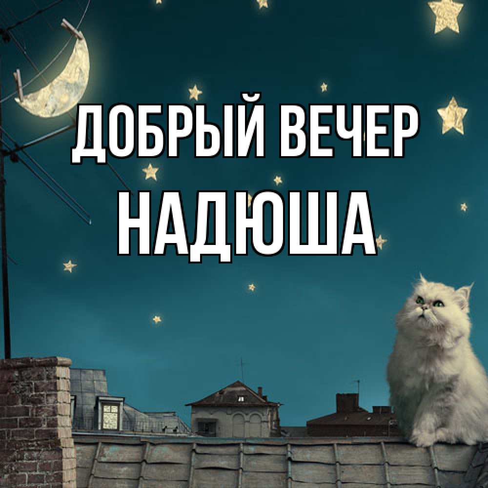 Открытка  с именем. Надюша, Добрый вечер  