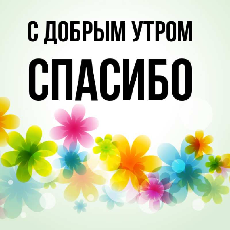 Картинка С добрым утром, спасибо