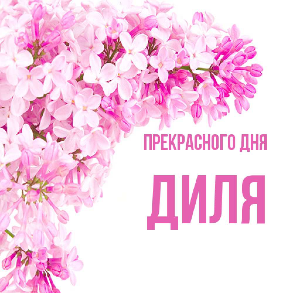 Открытка  с именем. Диля, Прекрасного дня  