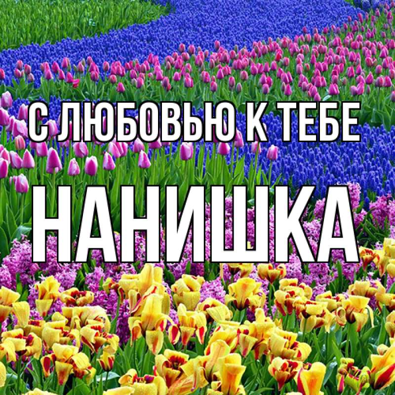 Картинка С любовью к тебе, Нанишка