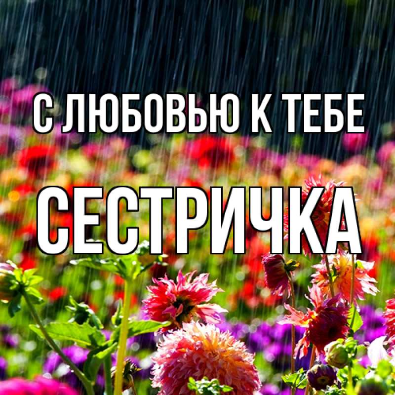 Картинка С любовью к тебе, Сестричка