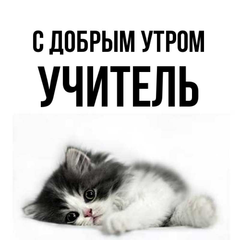 Картинка С добрым утром, Учитель