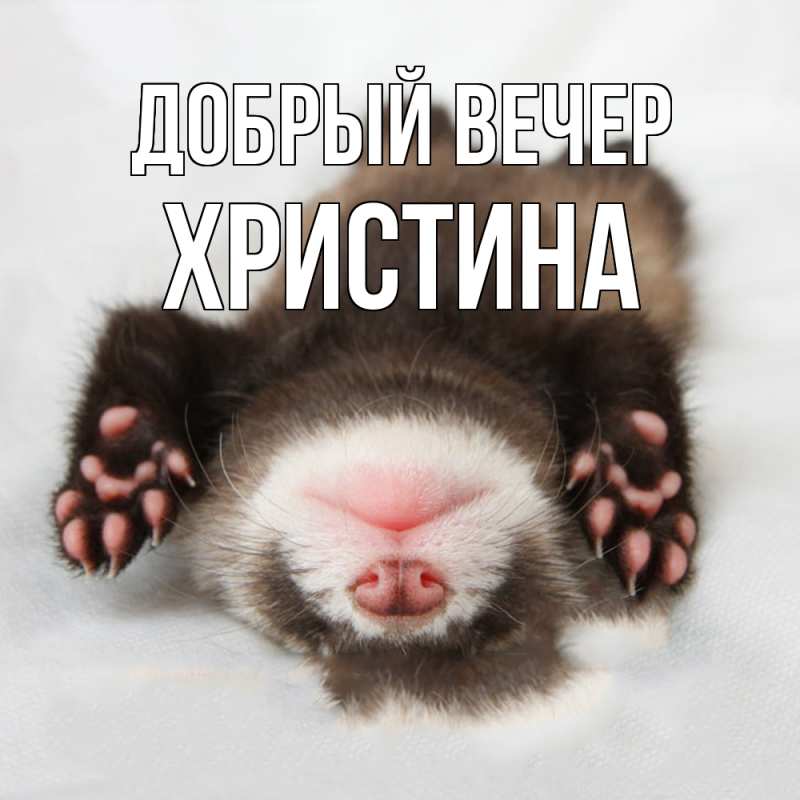 Картинка Добрый вечер, Христина