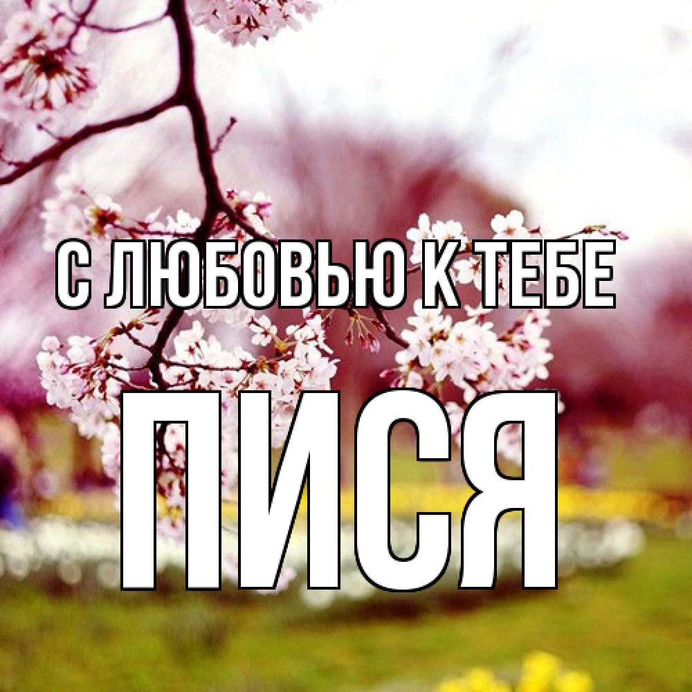Открытка  с именем. пися, С любовью к тебе  