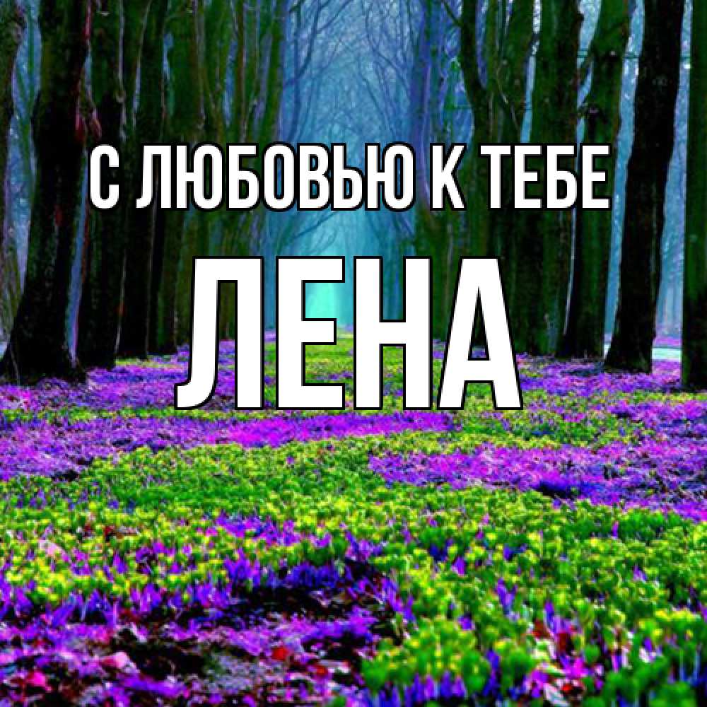 Открытка  с именем. лена, С любовью к тебе  