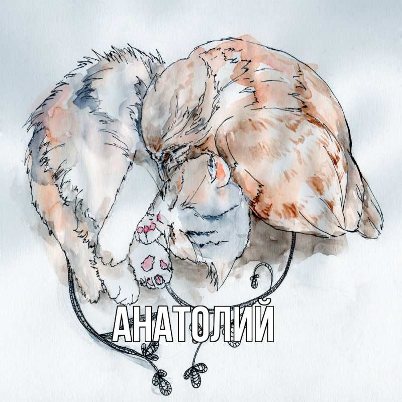 Картинка  с именем , Анатолий