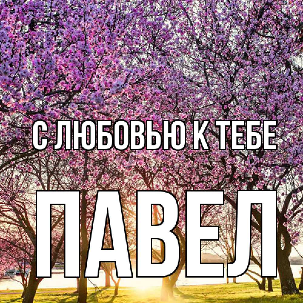 Открытка  с именем. Павел, С любовью к тебе  