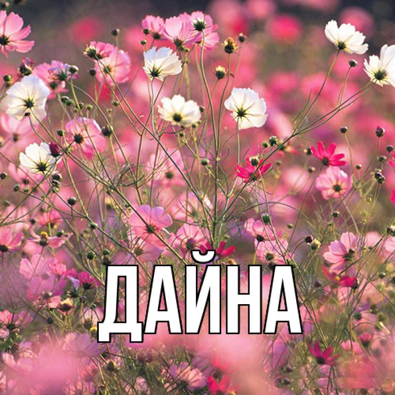 Картинка  с именем , Дайна