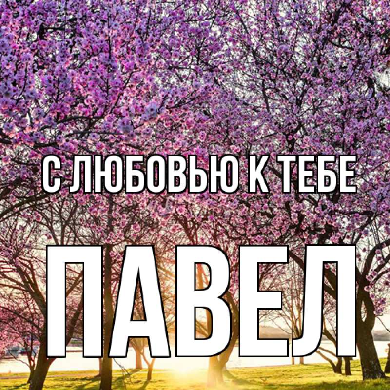 Картинка С любовью к тебе, Павел