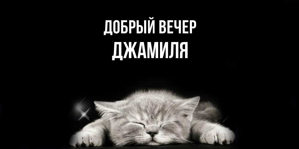 Открытка  с именем. Джамиля, Добрый вечер  