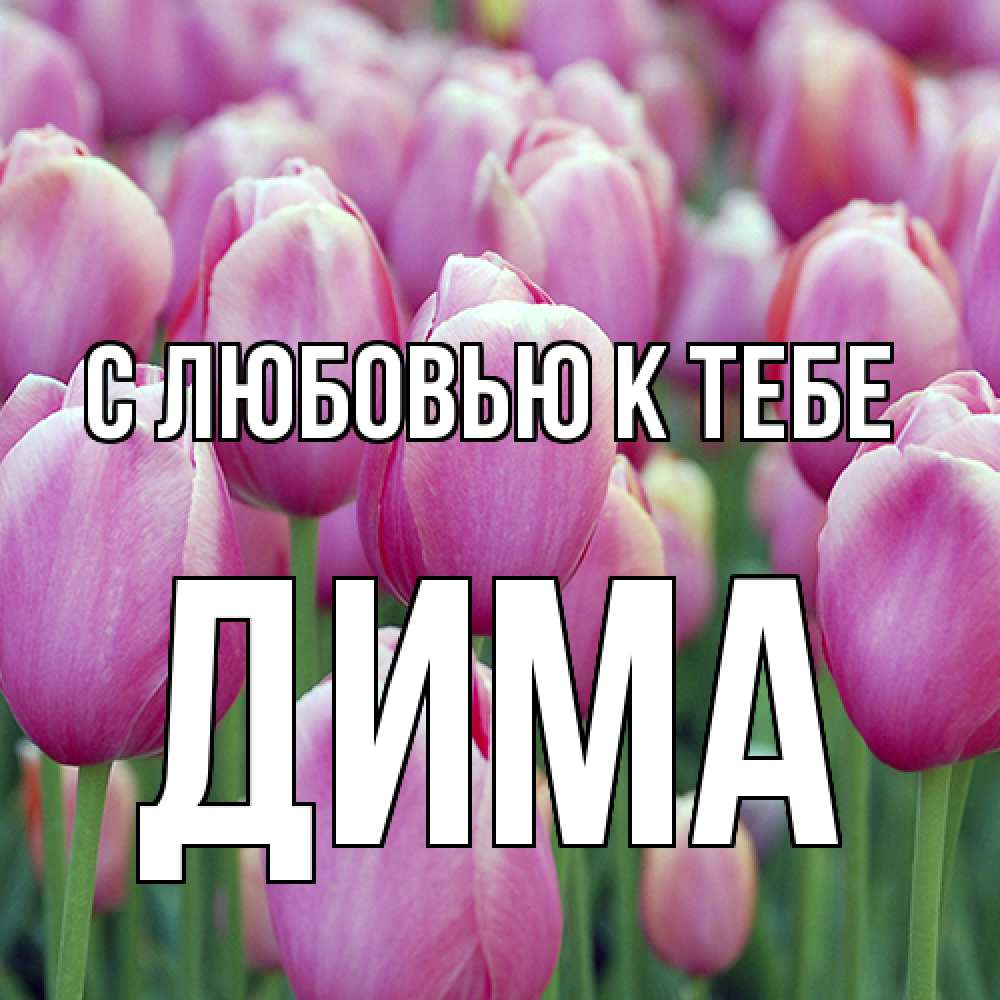 Открытка  с именем. Дима, С любовью к тебе  