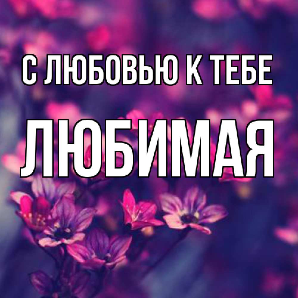 Открытка  с именем. Любимая, С любовью к тебе  