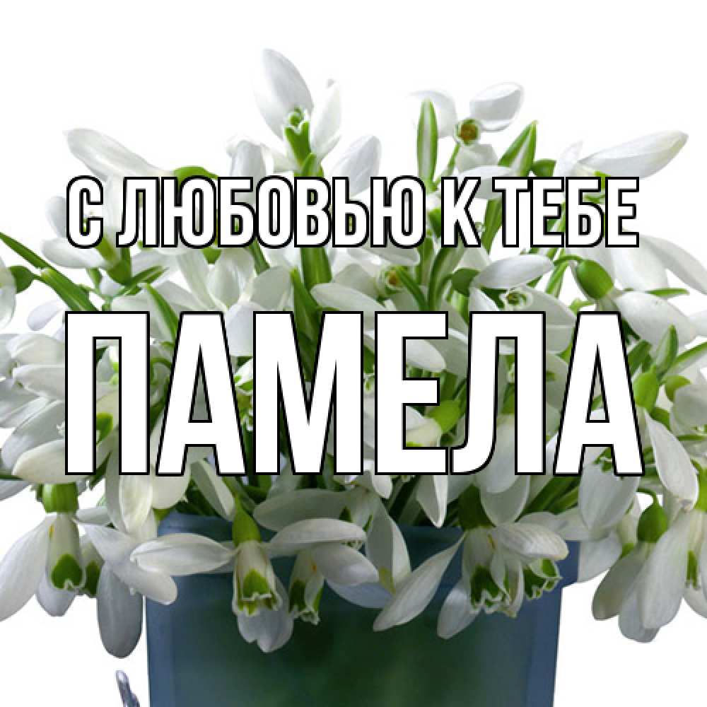 Открытка  с именем. Памела, С любовью к тебе  