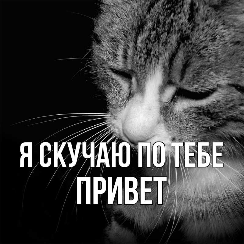 Картинка Я скучаю по тебе, Привет