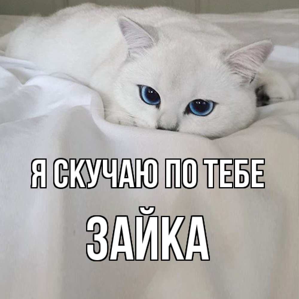 Открытка  с именем. Зайка, Я скучаю по тебе  