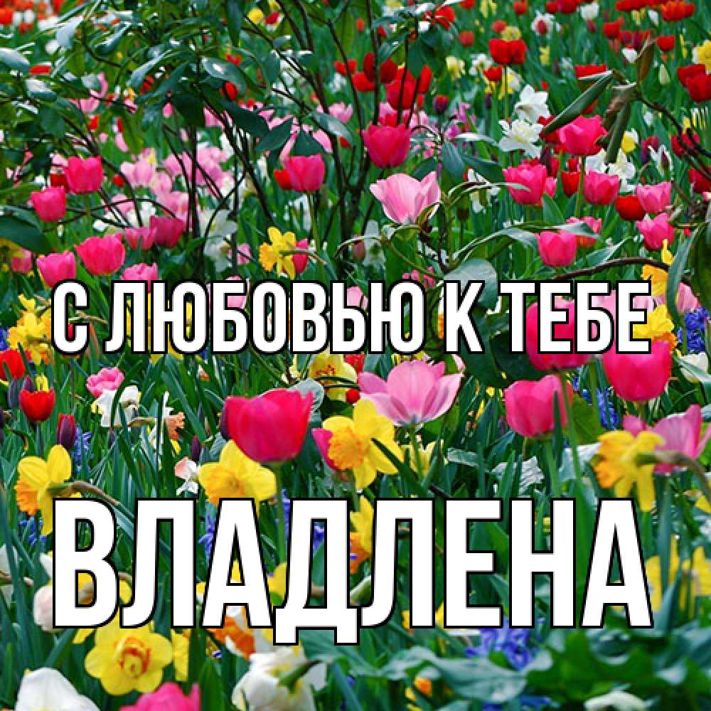 Открытка  с именем. Владлена, С любовью к тебе  