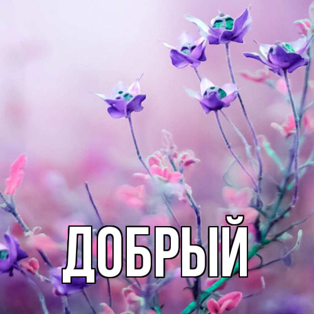 Открытка  с именем. Добрый, Главная  