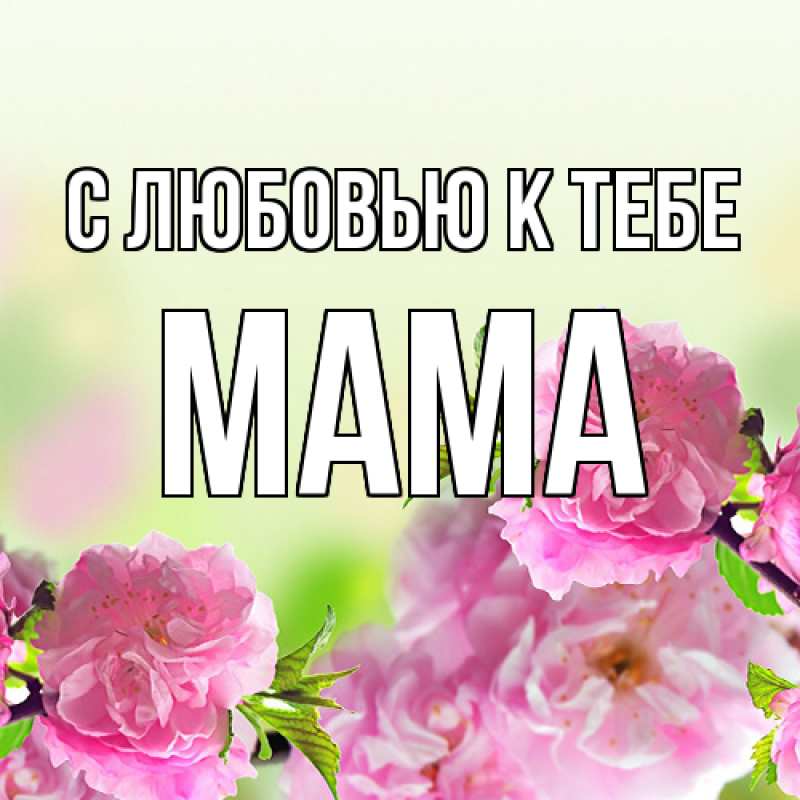 Картинка С любовью к тебе, Мама