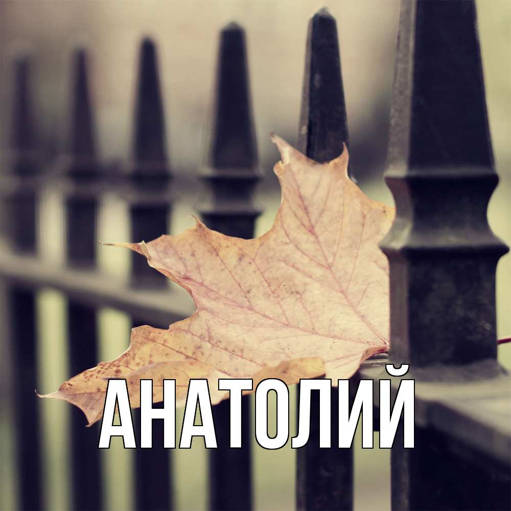 Открытка  с именем. Анатолий, Главная  