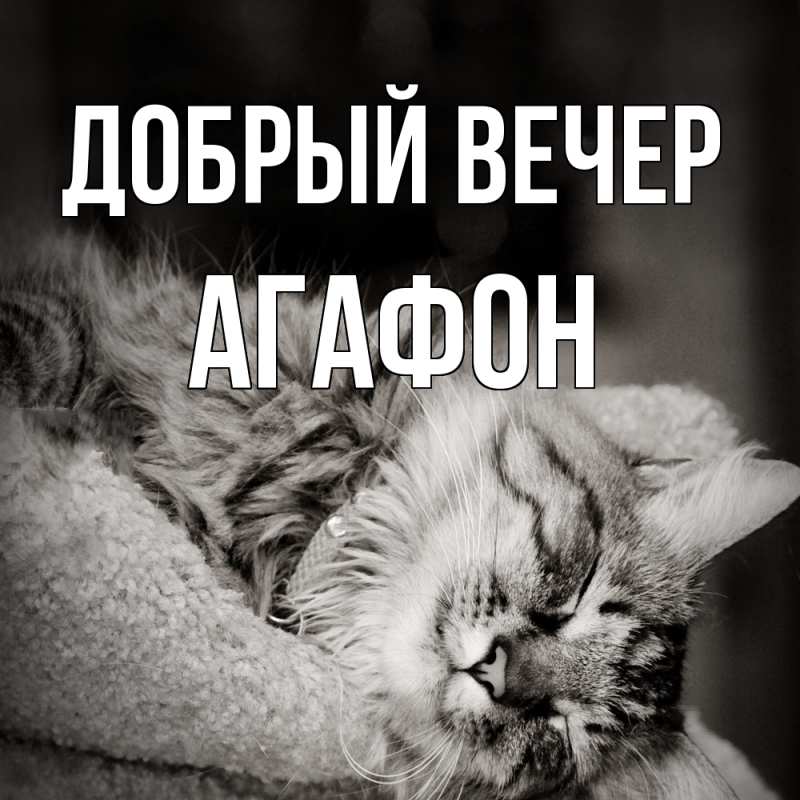 Картинка Добрый вечер, Агафон