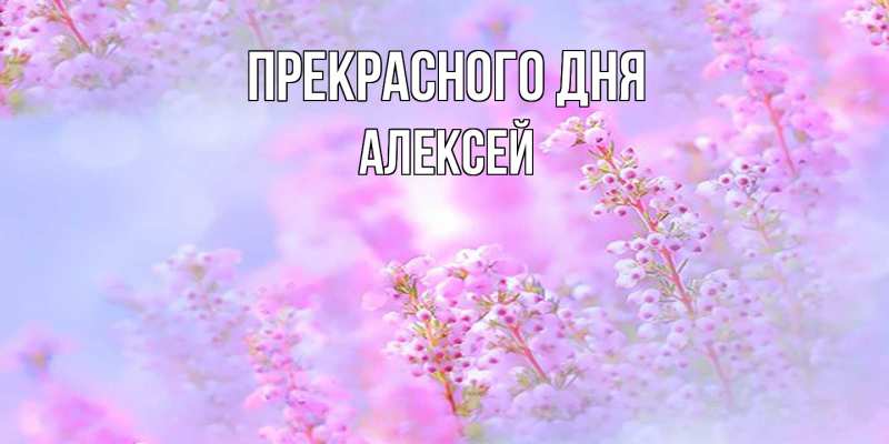 Картинка Прекрасного дня, Алексей