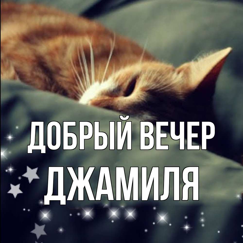 Открытка  с именем. Джамиля, Добрый вечер  