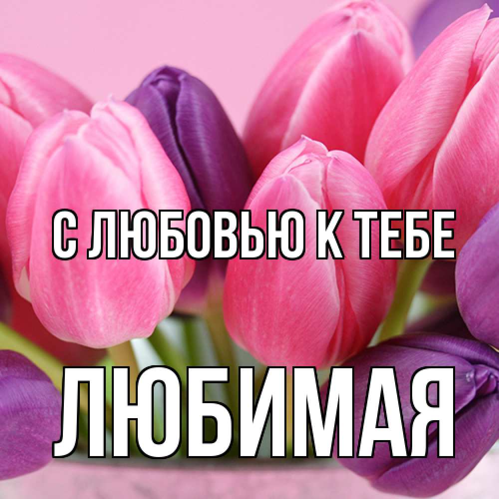 Открытка  с именем. Любимая, С любовью к тебе  