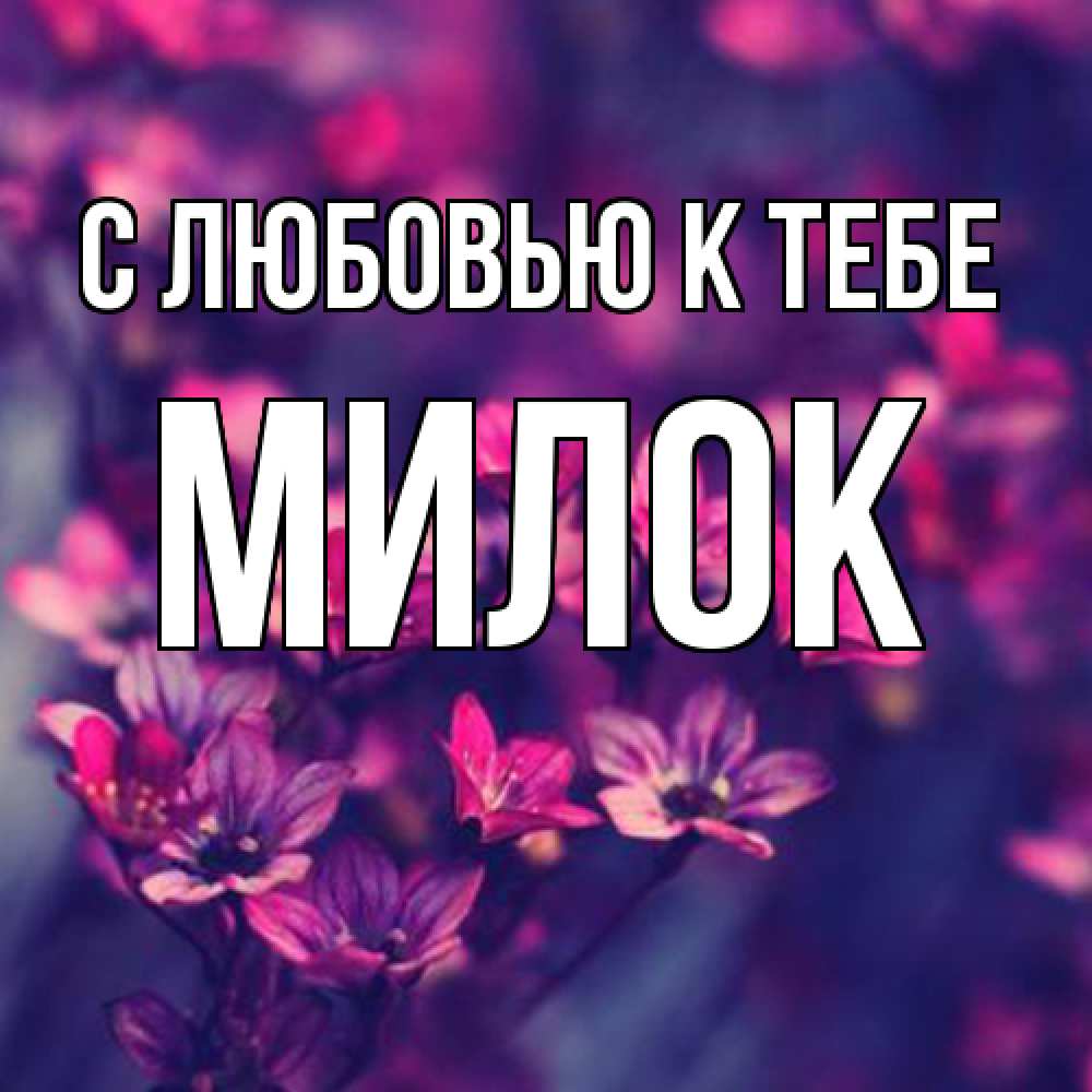 Открытка  с именем. Милок, С любовью к тебе  