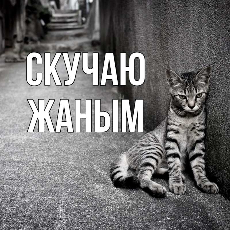 Картинка Скучаю, Жаным