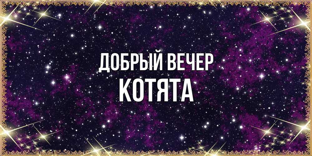 Открытка  с именем. Котята, Добрый вечер  