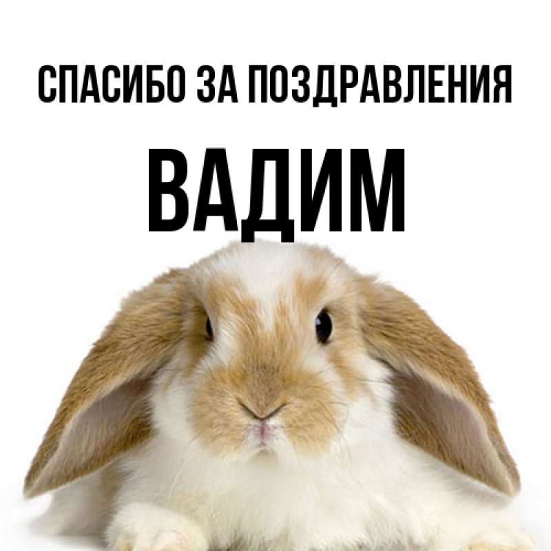 Картинка Спасибо за поздравления, Вадим