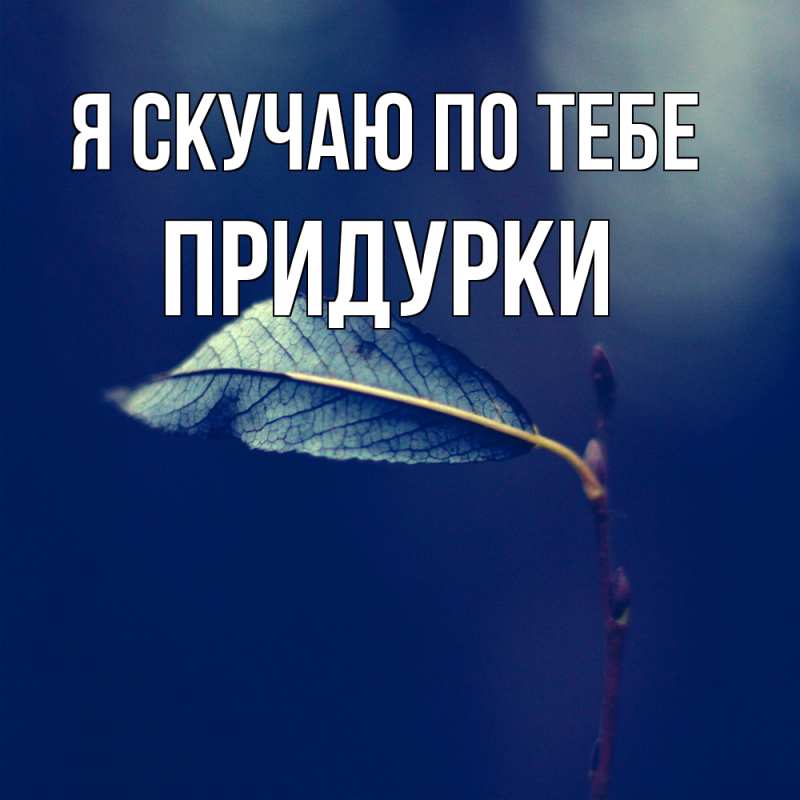 Картинка Я скучаю по тебе, Придурки